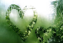 今天是帅气大男孩帕瓦尔29岁生日 请在评论区留下祝福吧~.