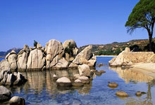 50亿美元新篮球联赛叫板NBA 我国或是主办地之一.